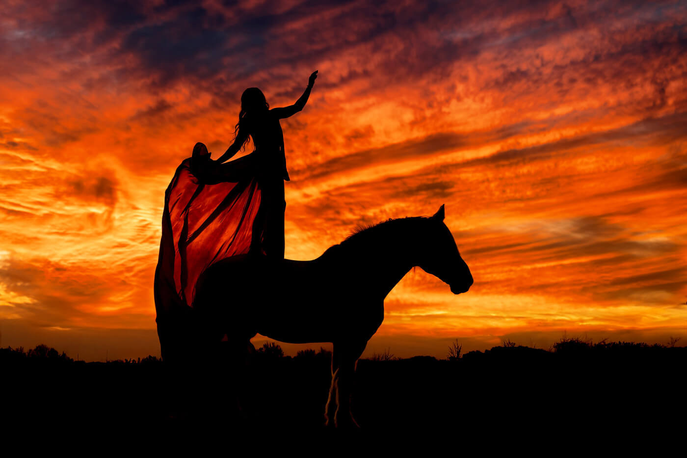 Equine Photography Education Blog equine-photography-education-blog
