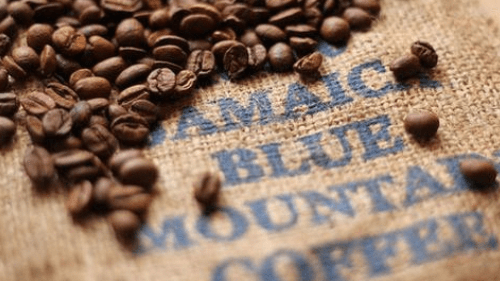What Makes Jamaican Blue Mountain Coffee Beans Unique