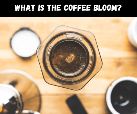 What Is The Bloom And Does It Affect Coffee's Taste?