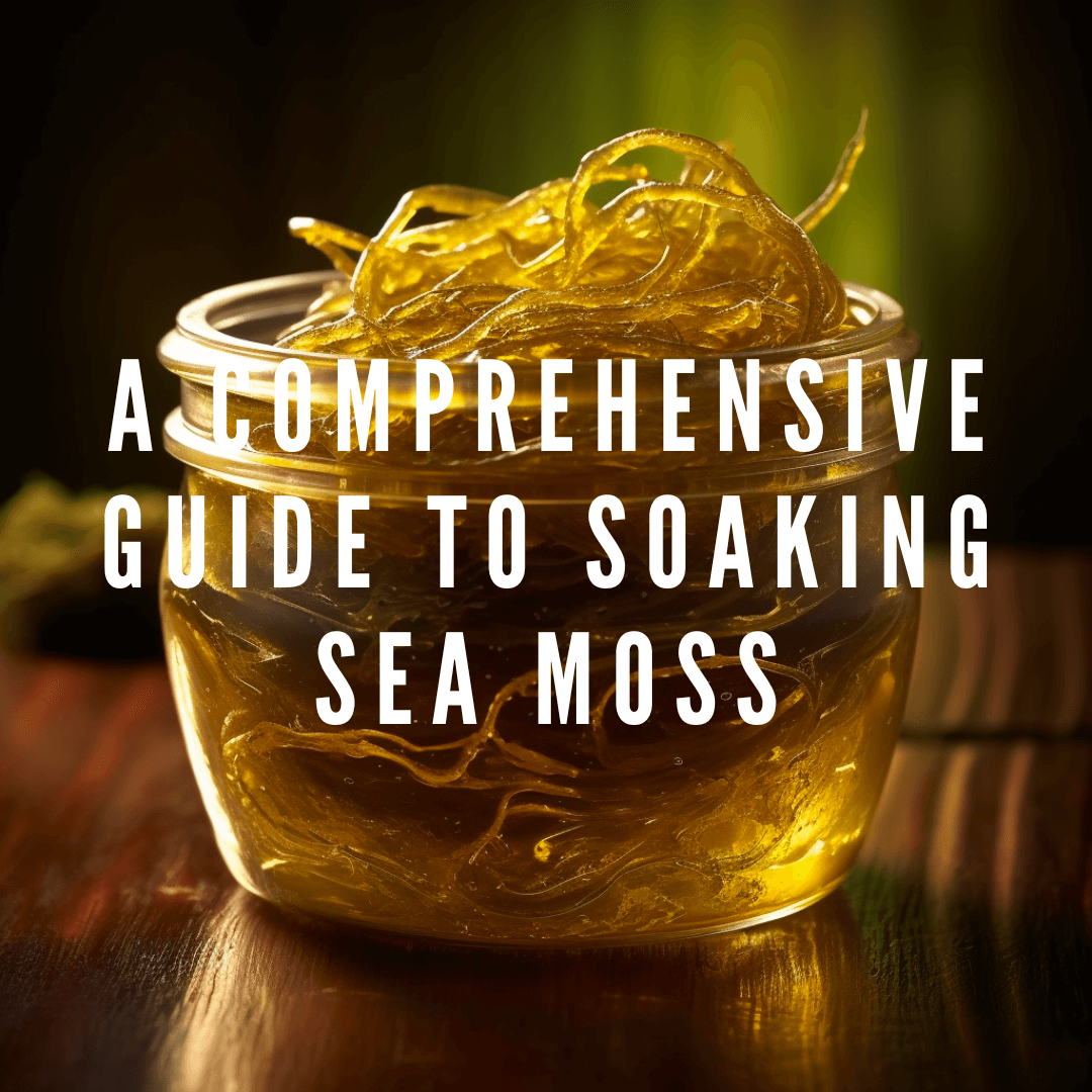 A Comprehensive Guide to Soaking Sea Moss