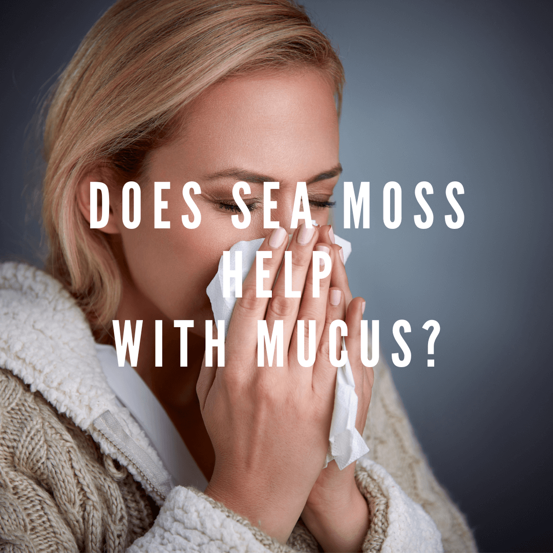 Does Sea Moss Help with Mucus?