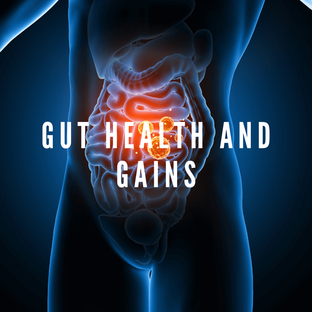 Gut Health and Gains: Exploring Sea Moss as a Digestive Aid for Fitness Enthusiasts