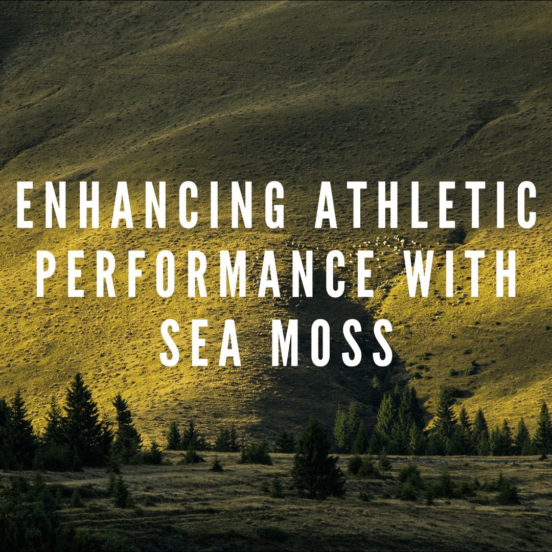 Harnessing Nature's Power: How Sea Moss Enhances Athletic Performance