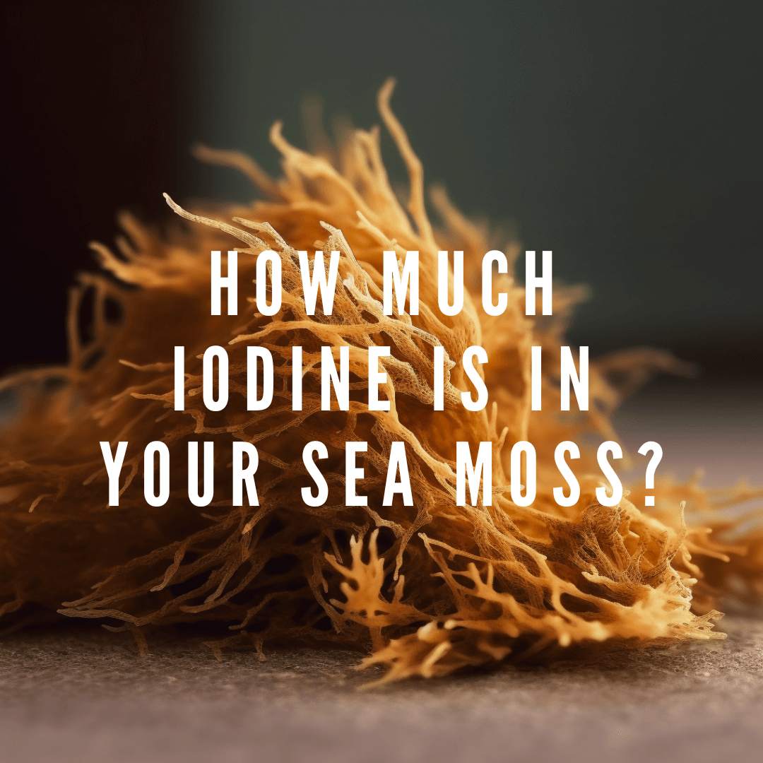 How Much Iodine is in Your Sea Moss?