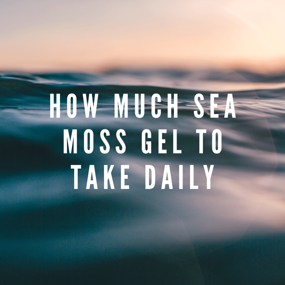How Much Sea Moss Gel To Take Daily: In Depth