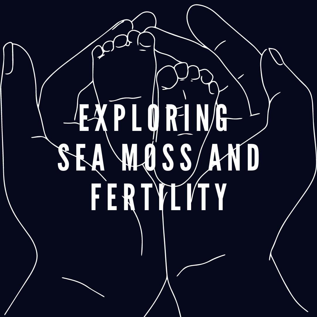 Sea Moss And Fertility: A Comprehensive Guide