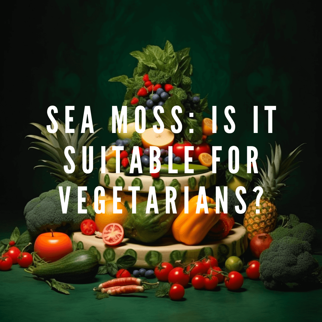 Sea Moss: Is It Suitable For Vegetarians?