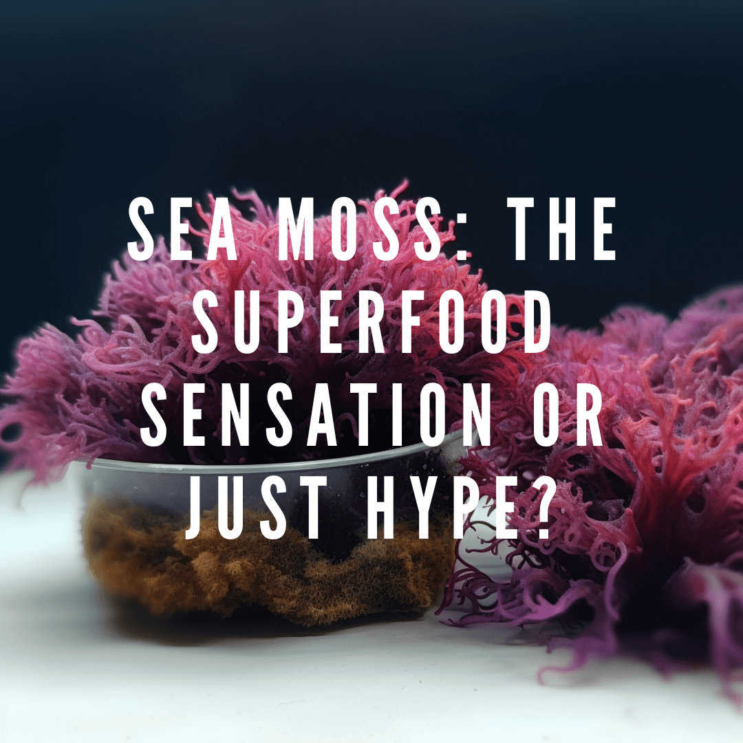 Sea Moss: The Superfood Sensation or Just Hype?