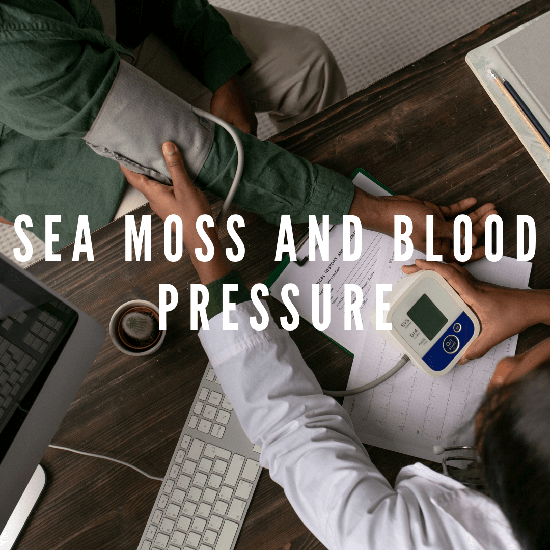 Sea Moss and Blood Pressure: A Comprehensive Guide