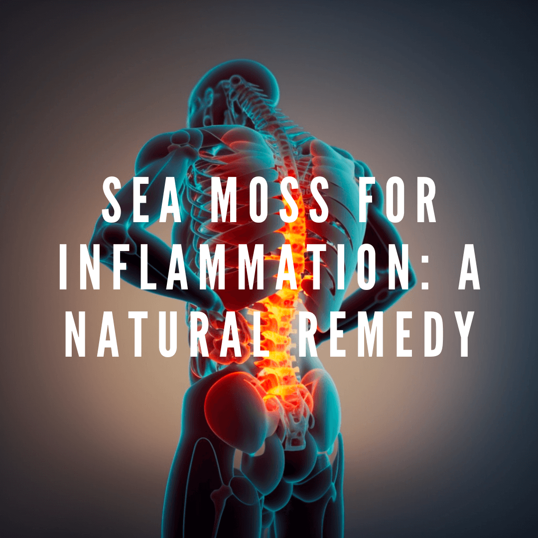 Sea Moss for Inflammation: A Natural Remedy