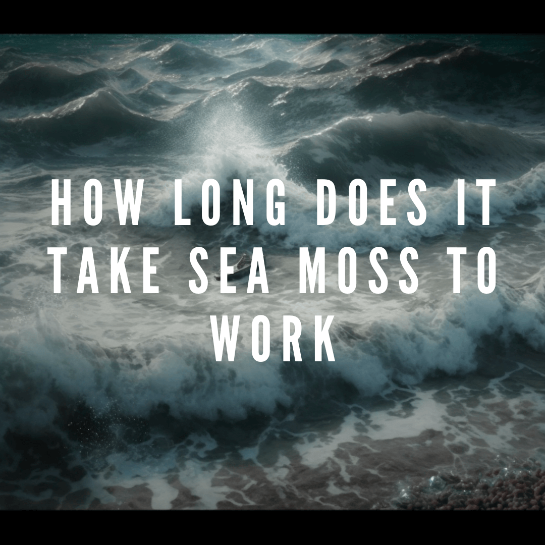 How Long Does It Take Sea Moss to Work