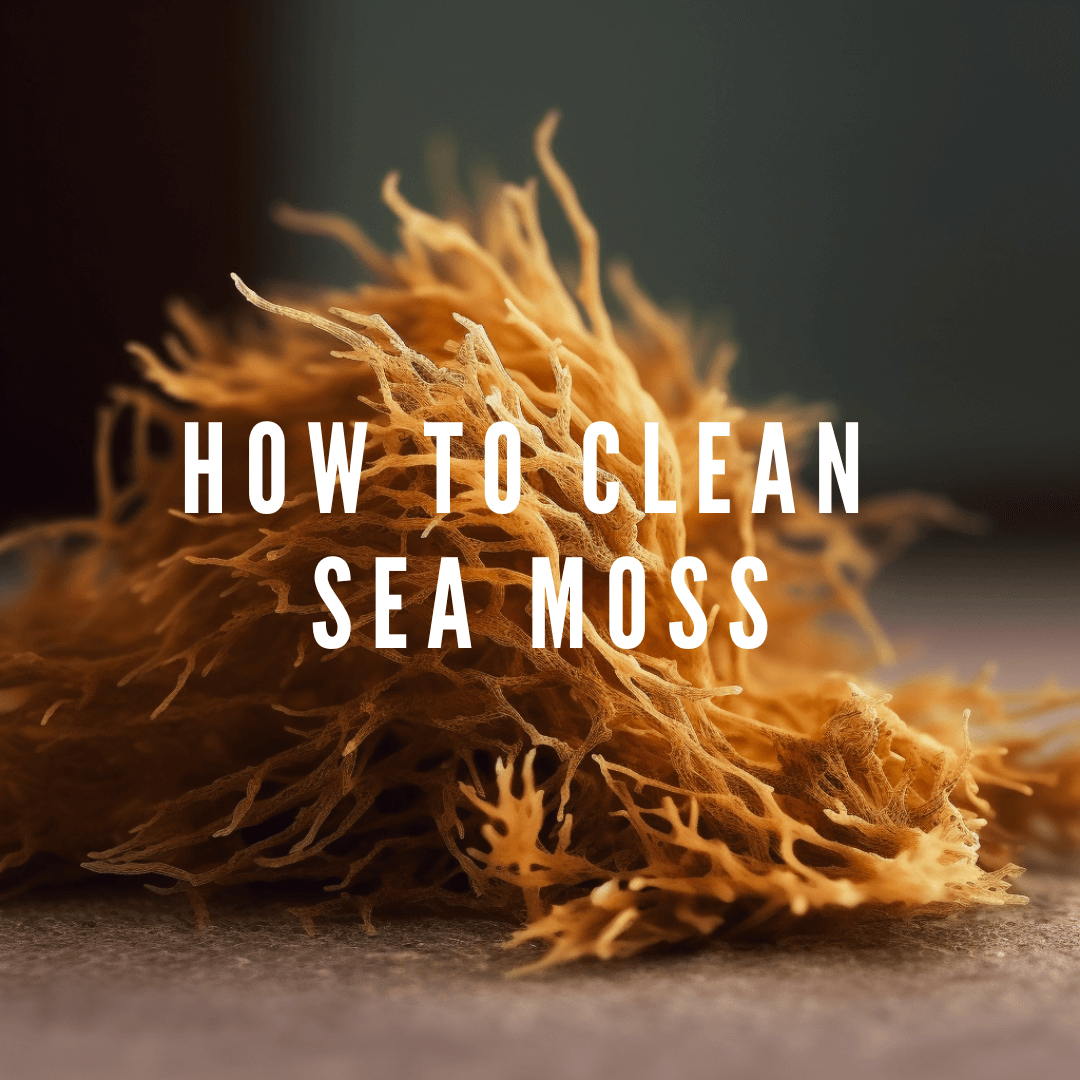 How to Clean Sea Moss: A Complete Guide