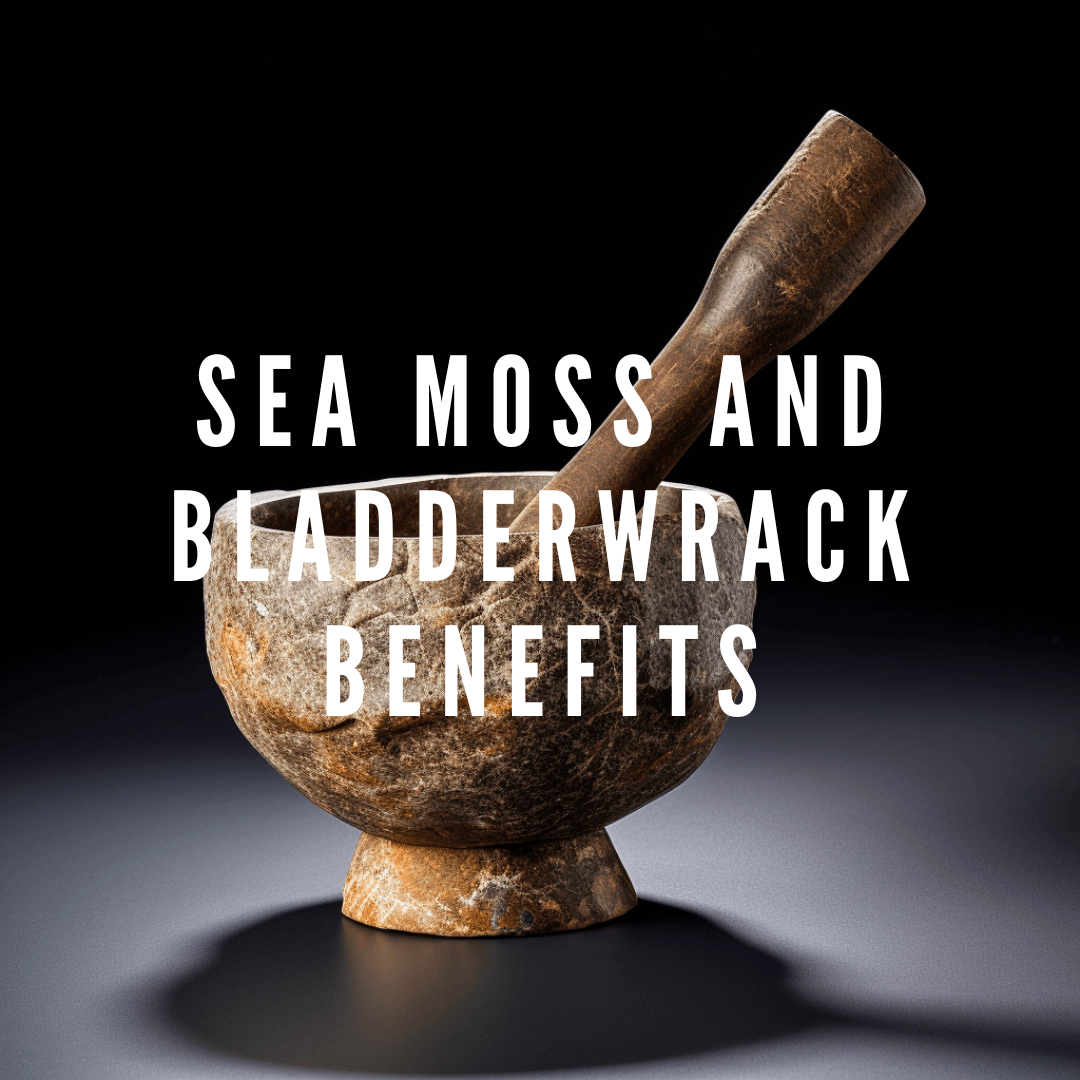 Sea Moss and Bladderwrack Benefits: The Ultimate Combo