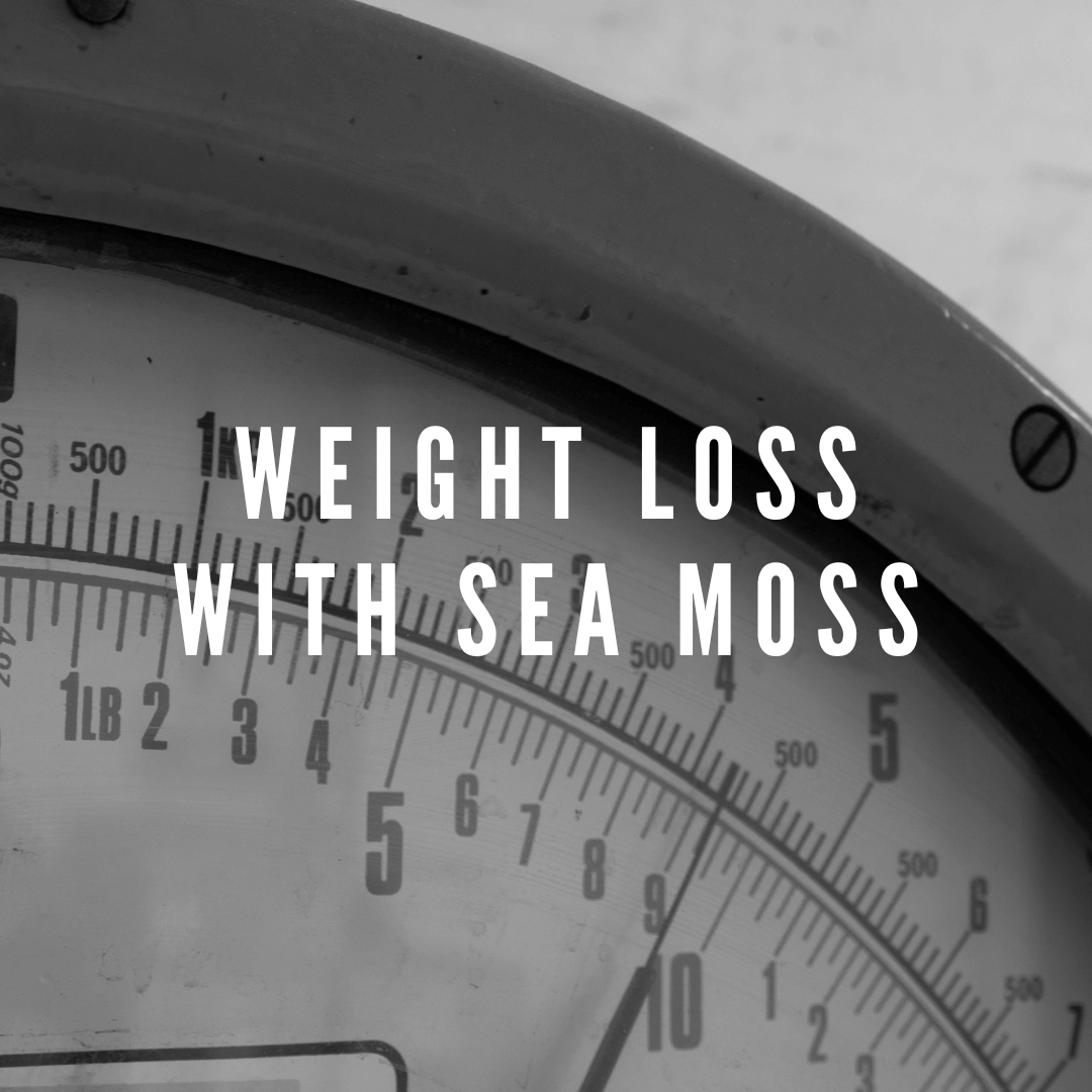 Weight Loss with Sea Moss: A Comprehensive Guide