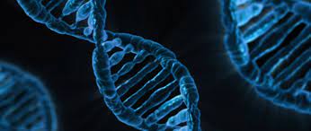 Is DNA-based Storage next up?