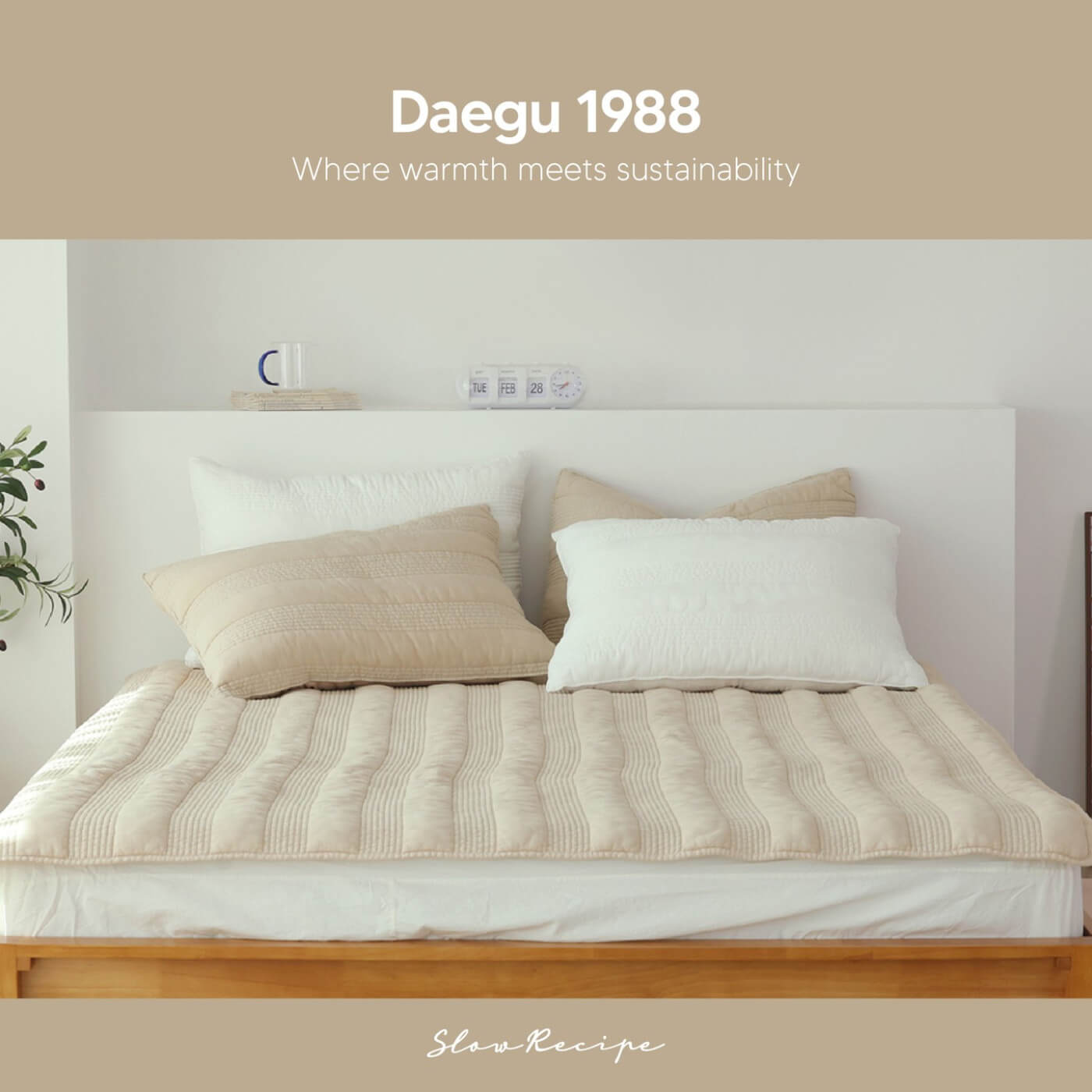 🌿 Embrace Cozy Sustainability this Season with Daegu 1988! 🌿