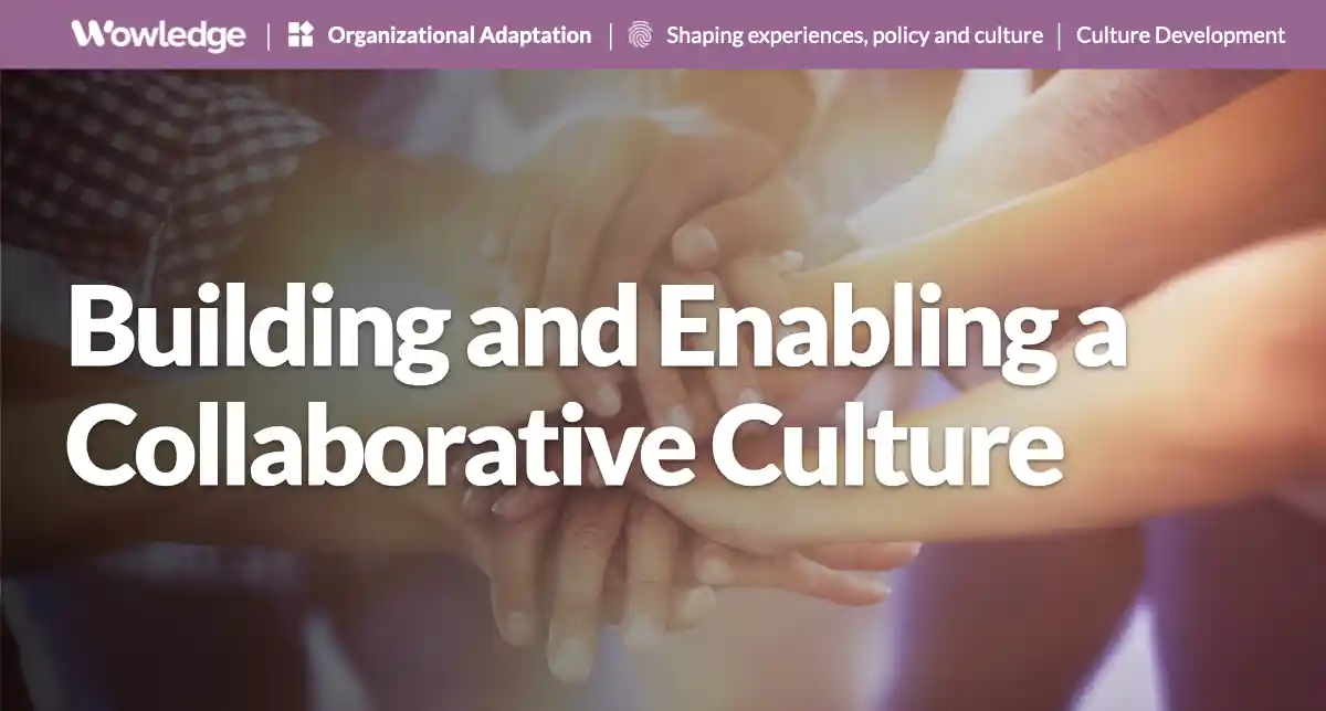 Building and Enabling a Collaborative Culture