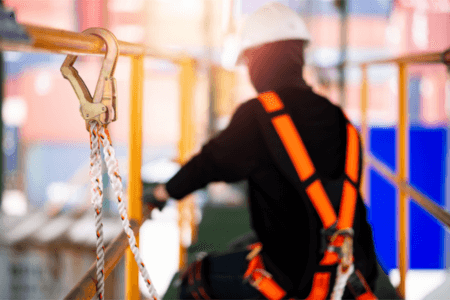 Safety Harnesses: Facts, Stories, and Importance