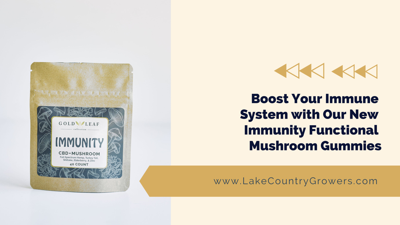 Boost Your Immune System with Our New Immunity Functional Mushroom Gummies