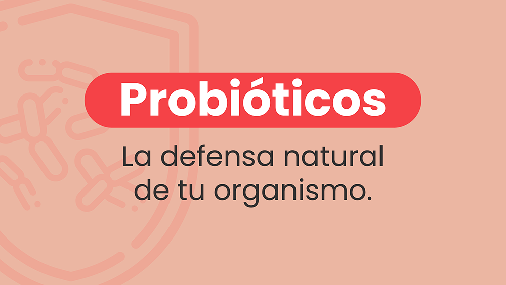 Probióticos: La defensa natural de tu organismo