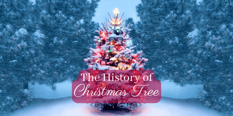 The Christmas Tree's Fascinating History Uncovered