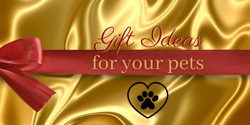 Pet Lovers: Spoil Your Furry Friends