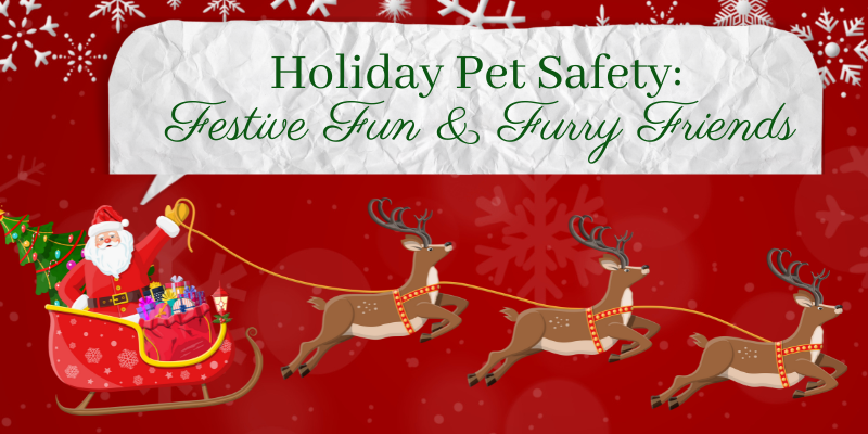 Holiday Pet Safety: Festive Fun & Furry Friends