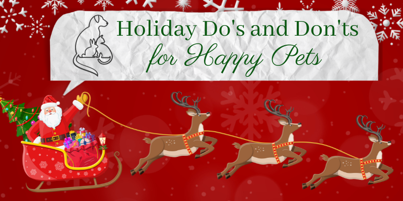 Holiday Do's and Don'ts for Happy Pets