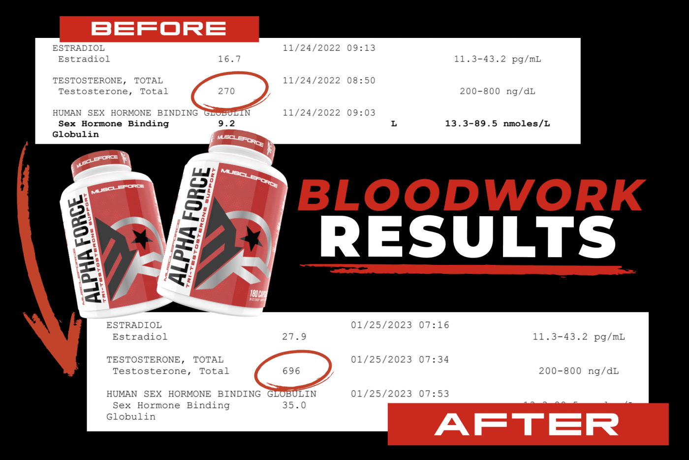 Alpha Force Case Study *INSANE RESULTS*