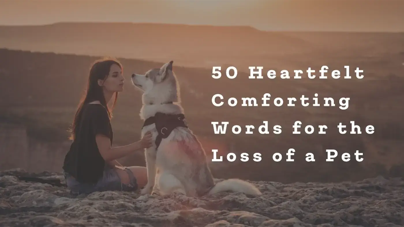 50 Heartfelt Comforting Words for the Loss of a Pet – suartprinting