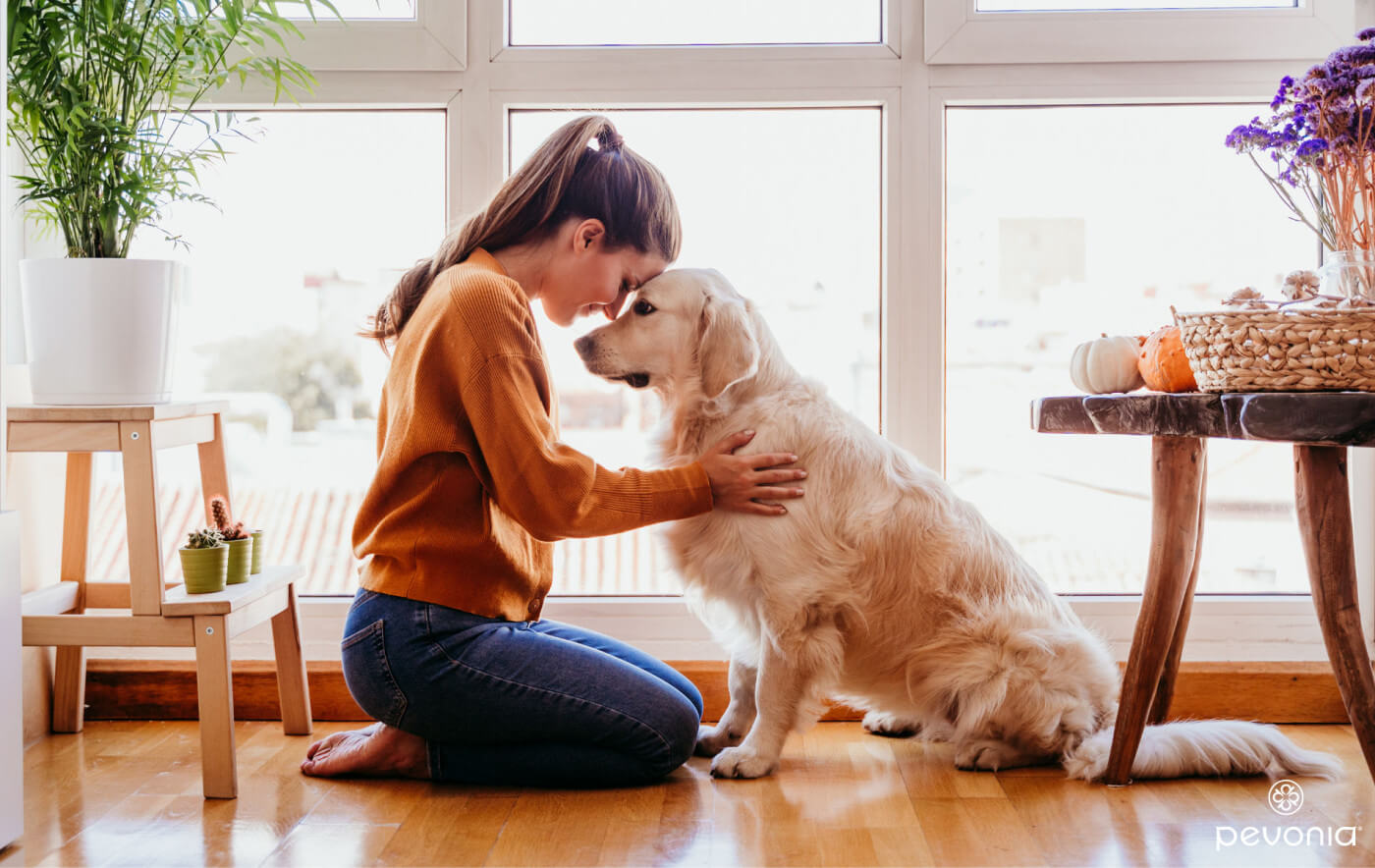 The Power of Pet Therapy & Touch for Mental Wellness