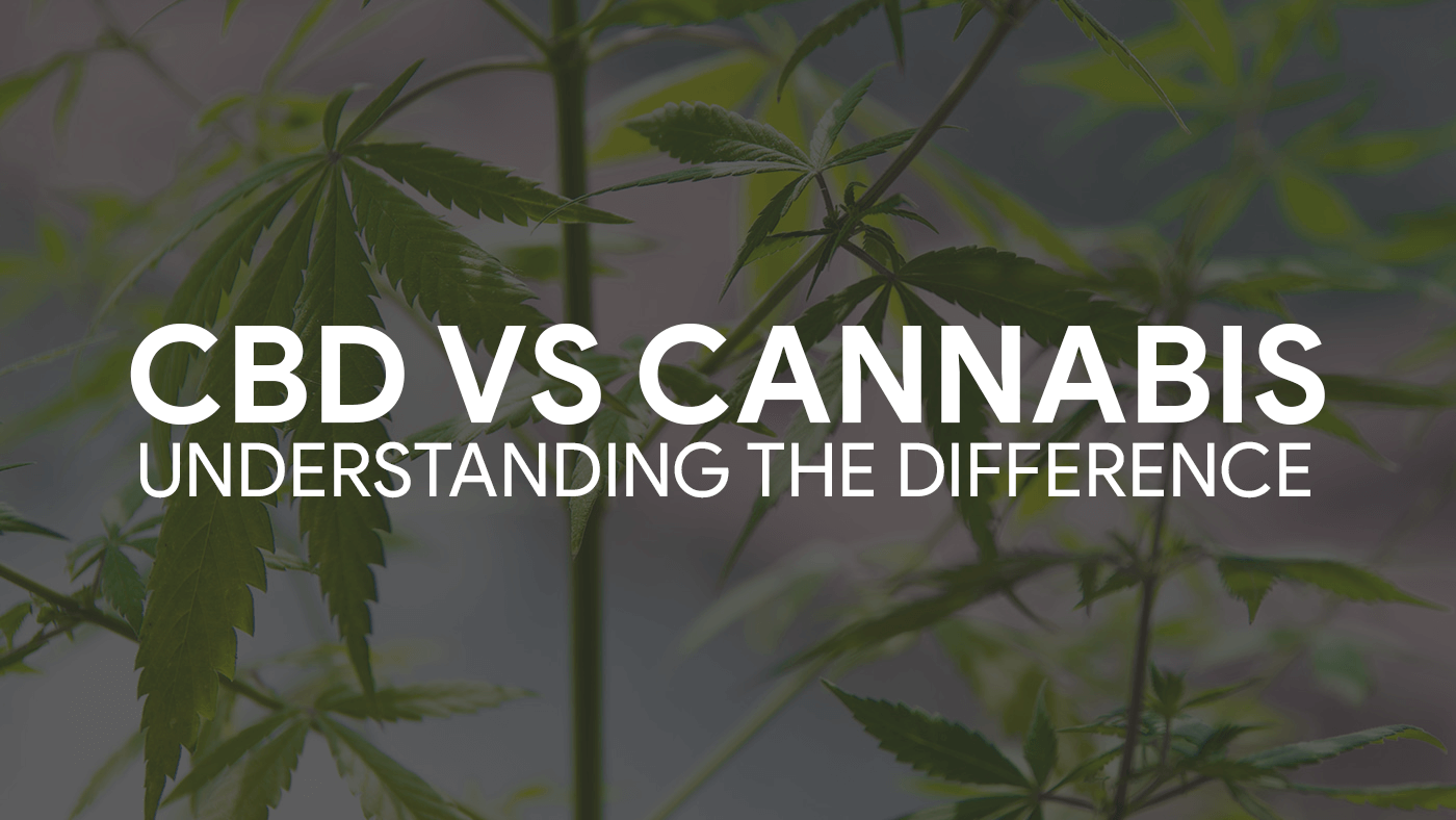 Comparing CBD and Cannabis: Understanding the Key Difference