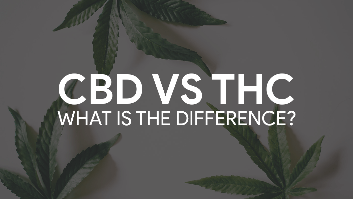 Comparing CBD and THC: Understanding the Key Differences Between These Two Cannabinoids