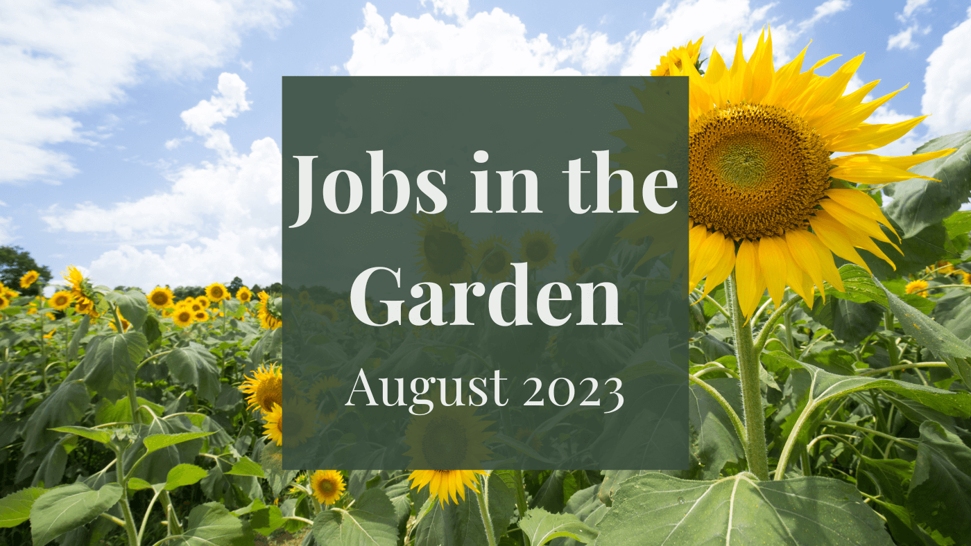 Jobs in the Garden: August 2023