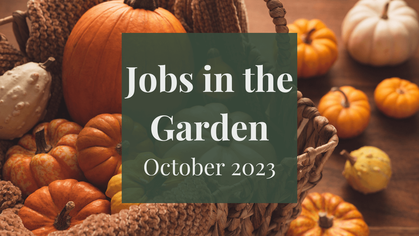 Jobs in the Garden: October 2023