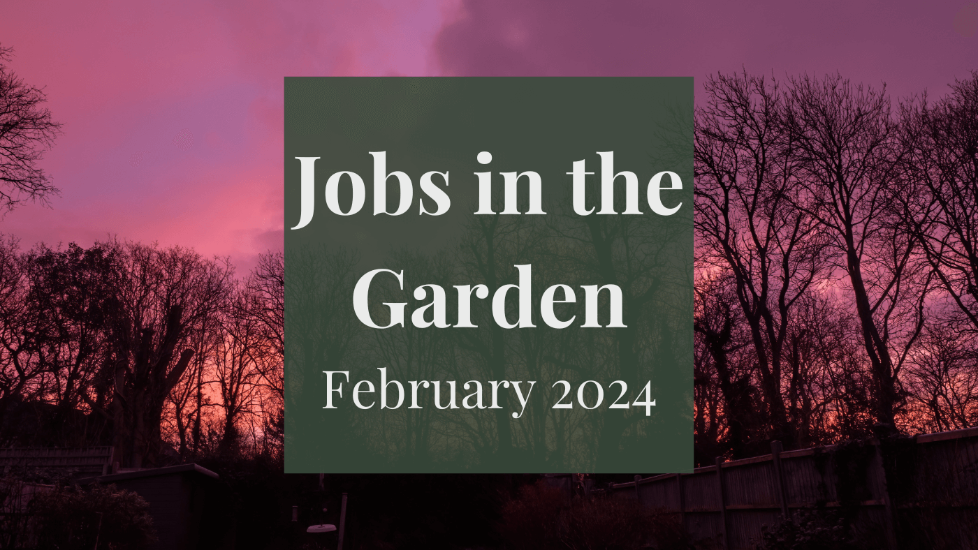 Jobs in the Garden: February