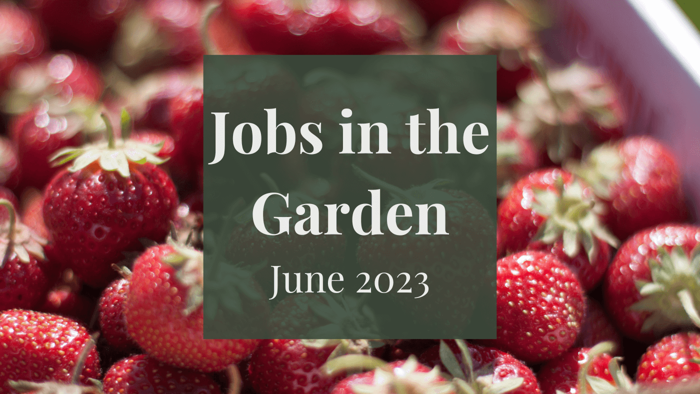 Jobs in the Garden: June 2023