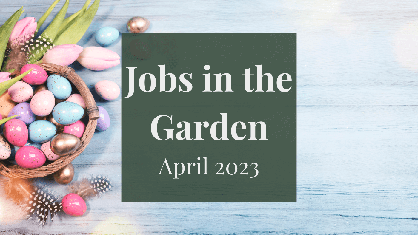 Jobs in the Garden: April 2023