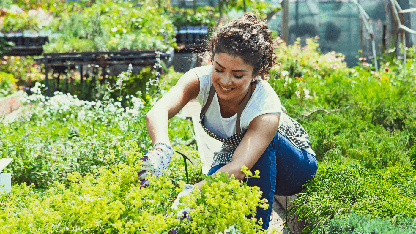 Cultivating Wellness: The Therapeutic Benefits of Gardening for Mental Health