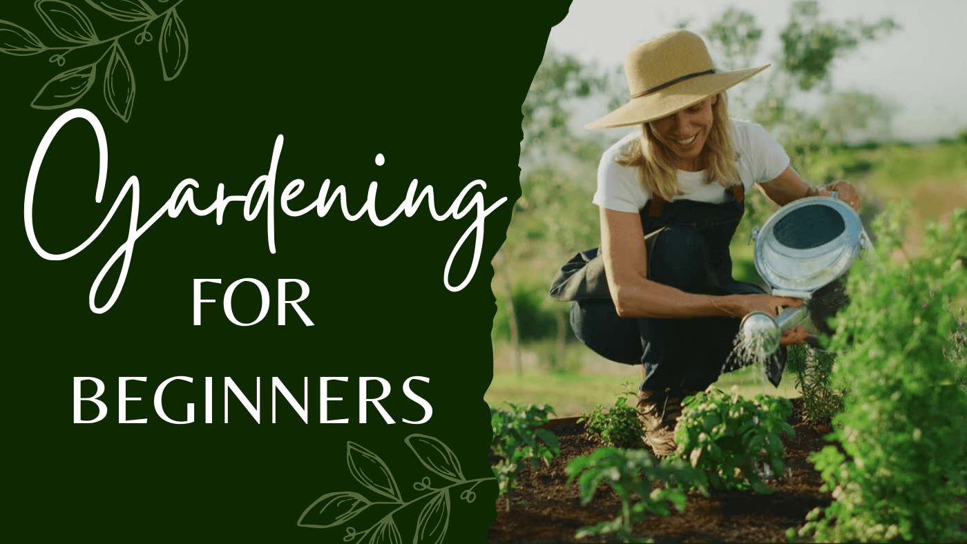 Gardening For Beginners