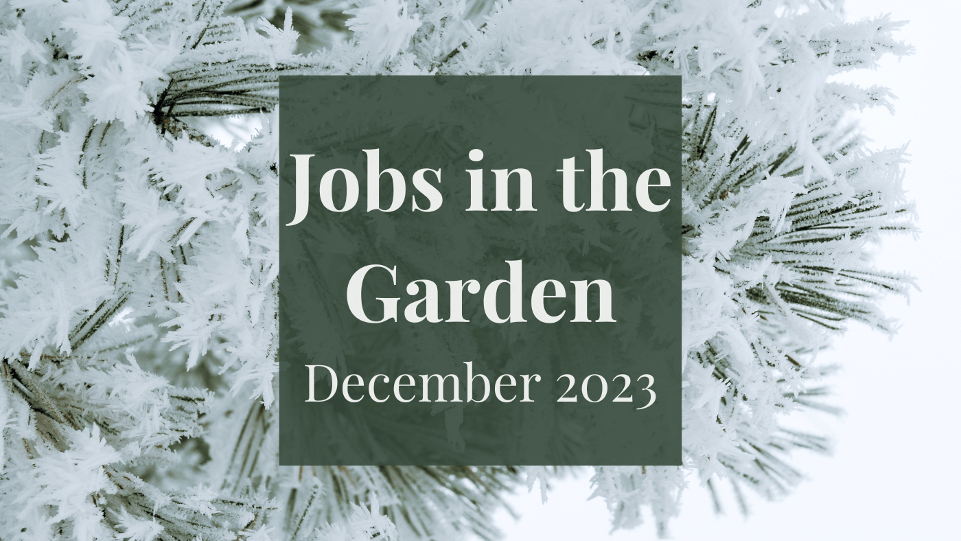Jobs in the Garden: December 2023