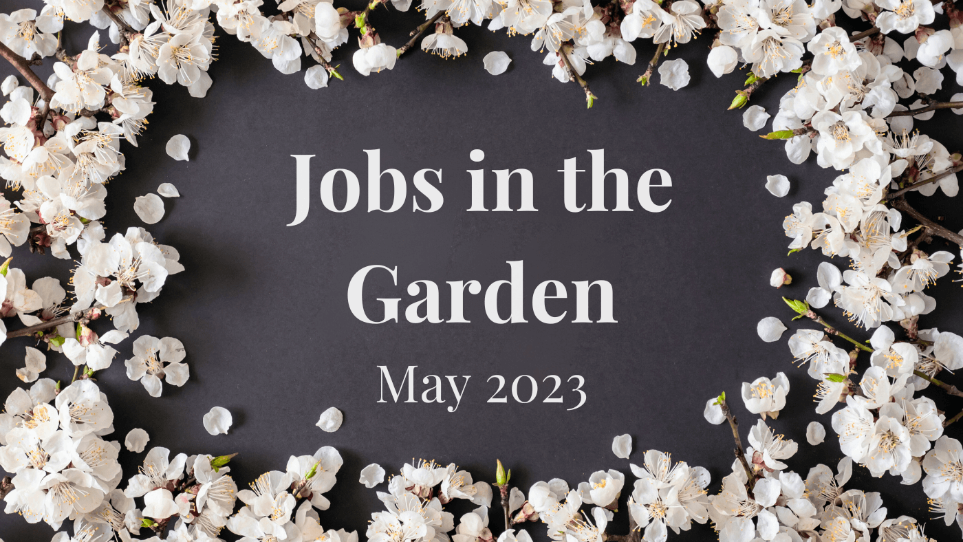 Jobs in the Garden: May 2023