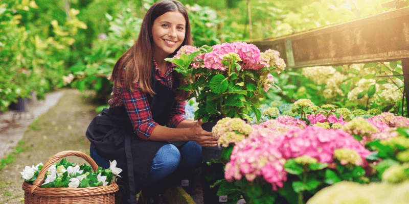 Choosing the Perfect Plants for Your Garden: A Comprehensive Guide