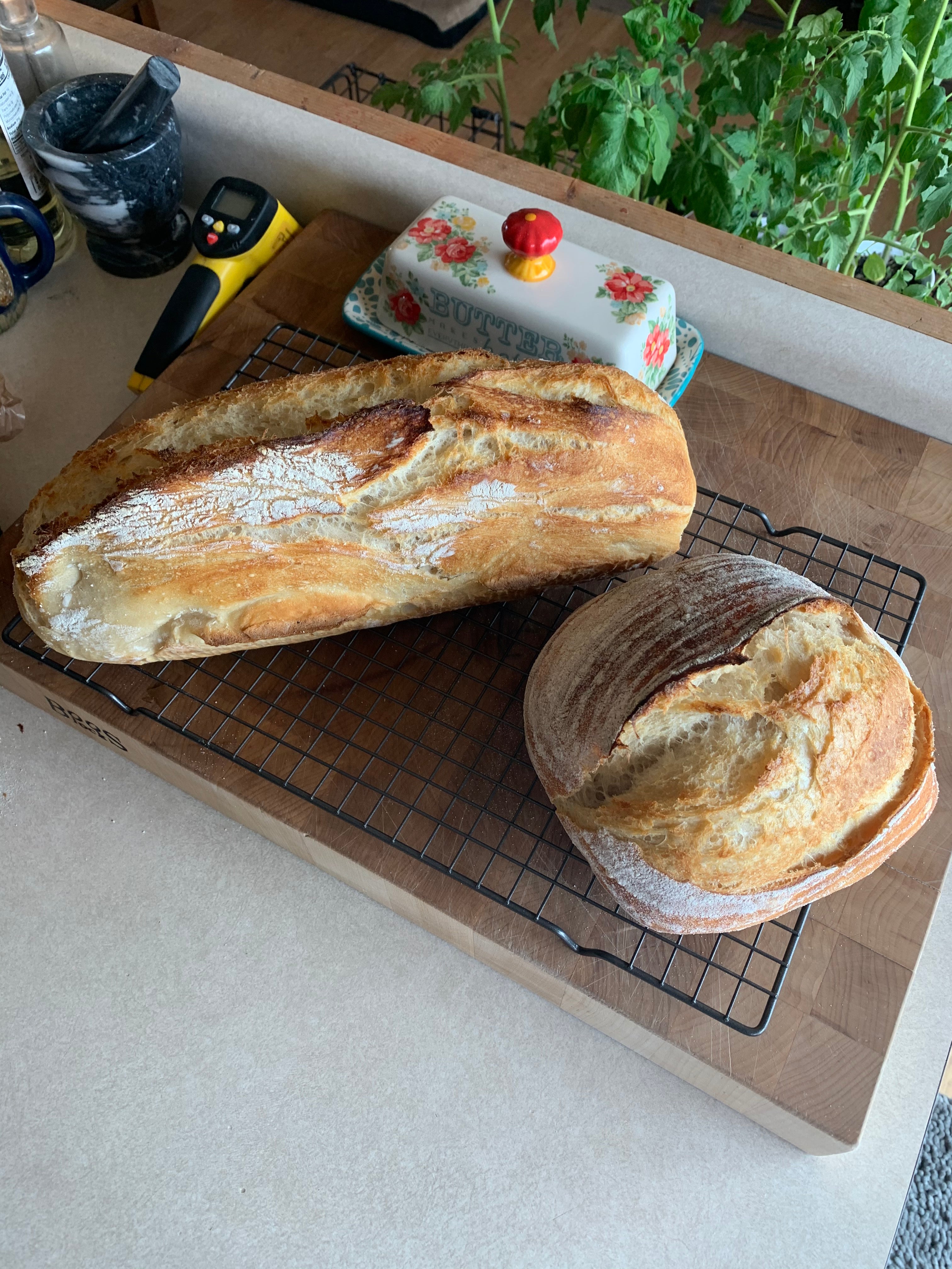 Sourdough Beginner Info