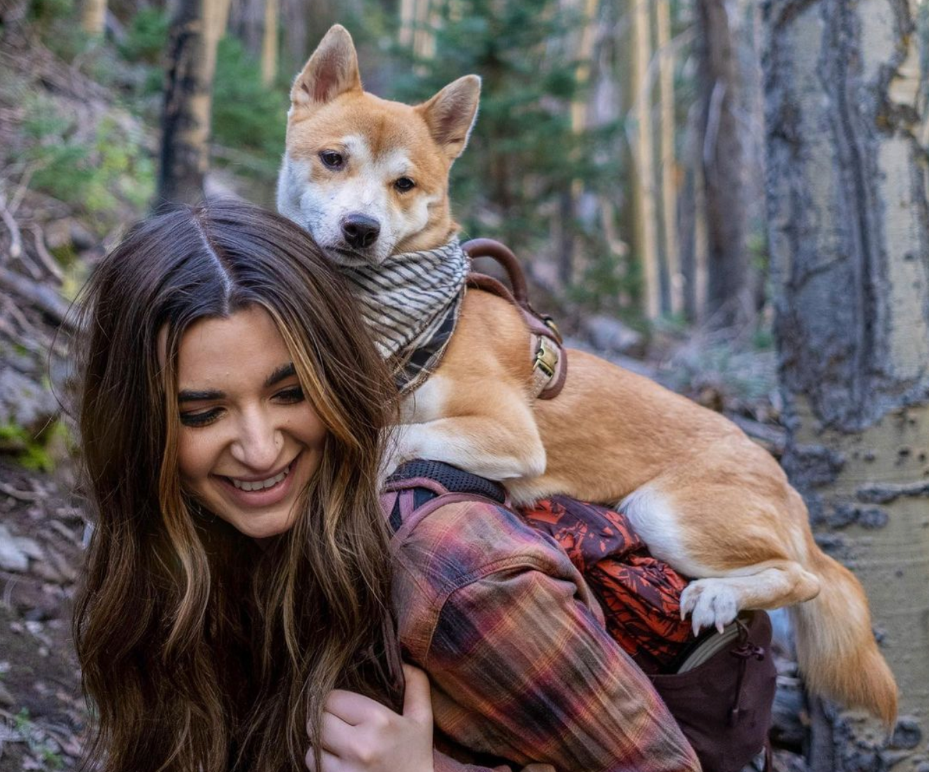 How to Hammock Camp with Pets