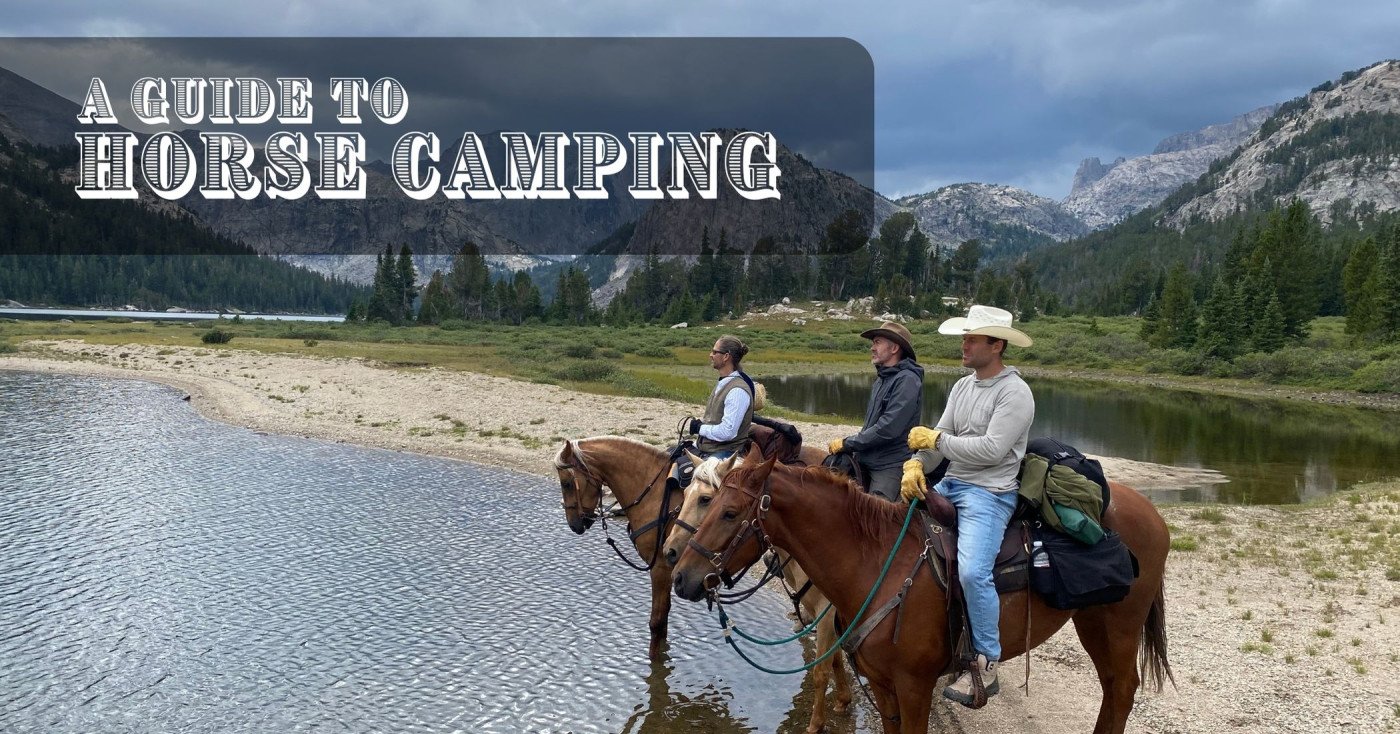 An In Depth Guide to Horse Camping 🐴