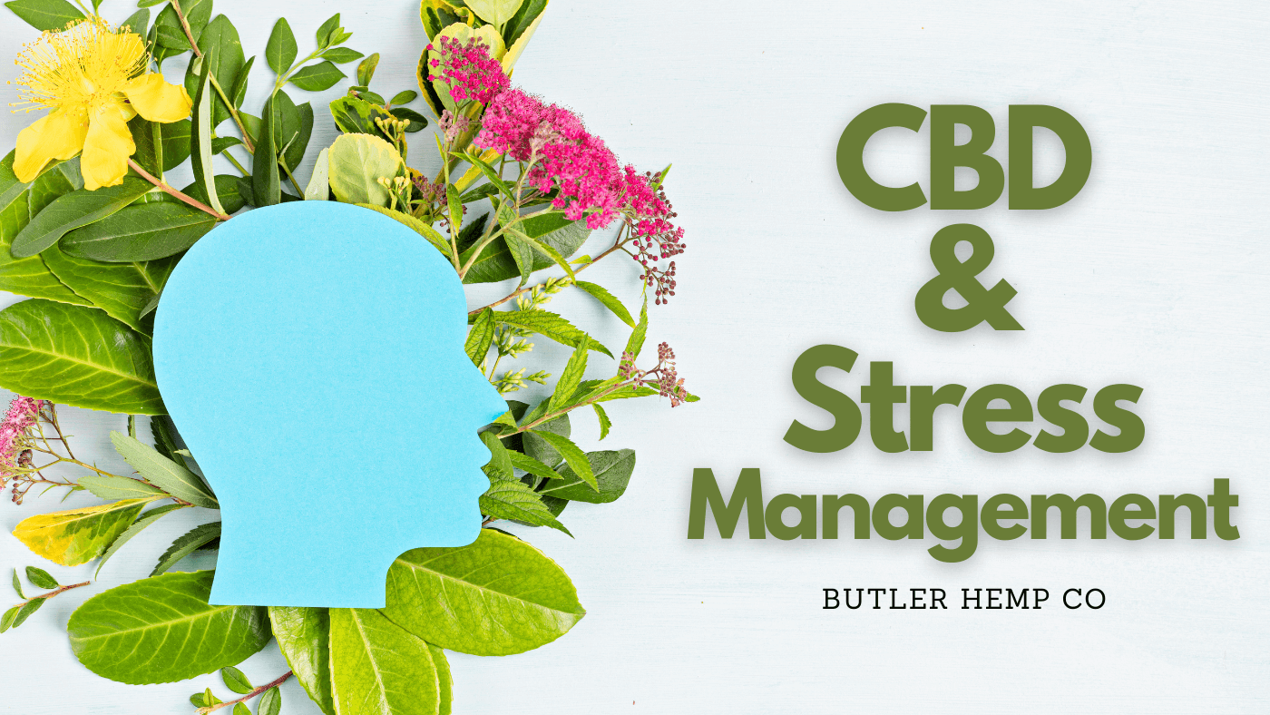 CBD and Stress Management: A Natural Symphony for Calm