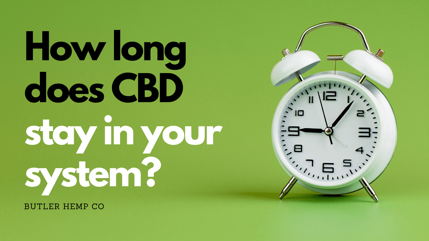 How Long Does CBD Stay in Your System?