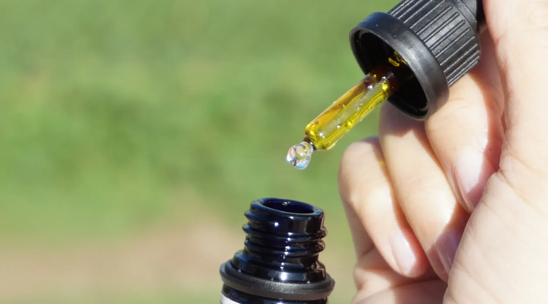 Buying CBD Oil In Kansas: The Ultimate Guide