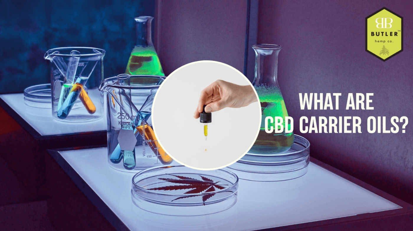 What Are CBD Carrier Oils? Choosing What's Best For You